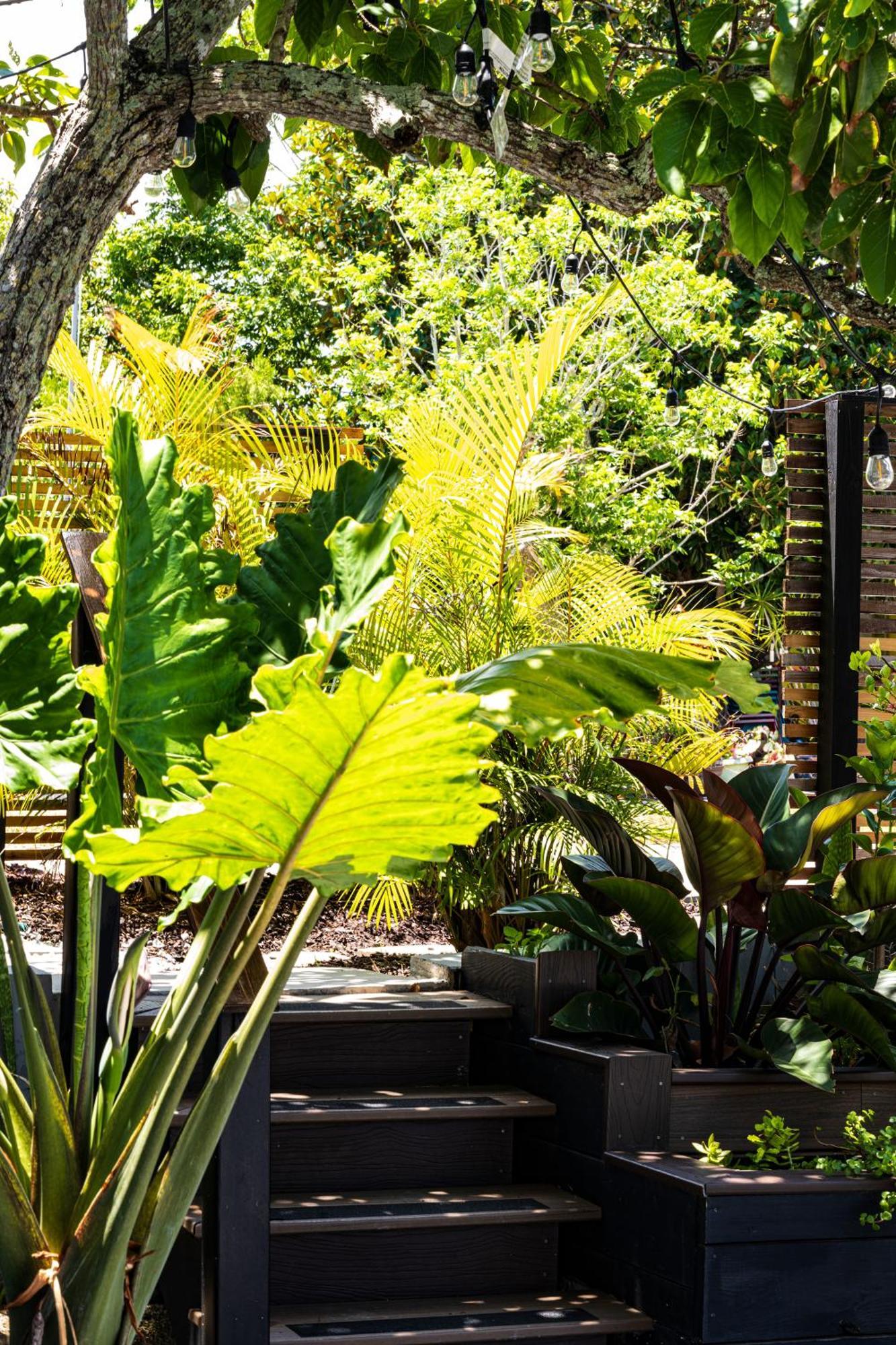 Shares Courtyard Luxury Apt - New! Rockledge Eksteriør billede