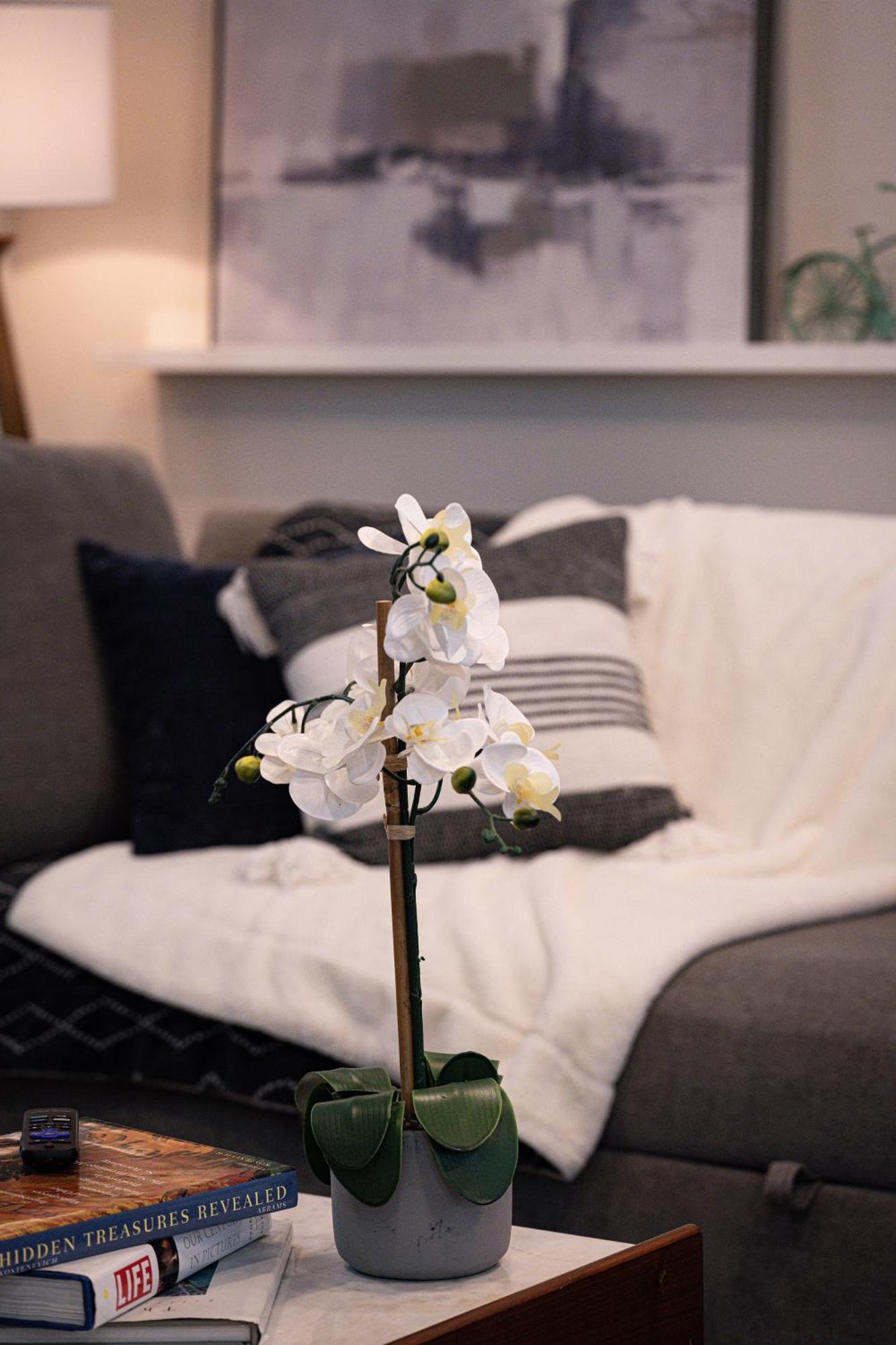 Shares Courtyard Luxury Apt - New! Rockledge Eksteriør billede